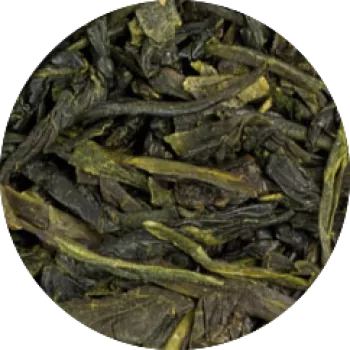 Mate tea bio